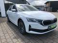 Skoda Octavia Combi Tour AHZV SmartLink DAB Weiß - thumbnail 3