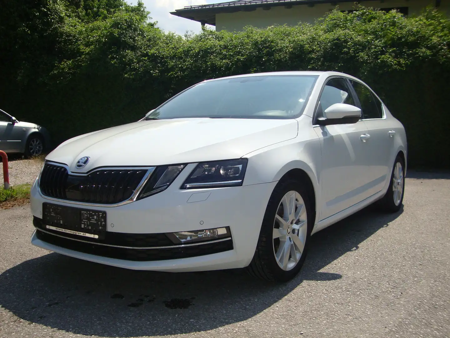 Skoda Octavia 1,0 TSI Style Blanc - 1