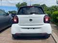 smart forFour EQ PRIME CABRIO Full Electtric Bílá - thumbnail 6
