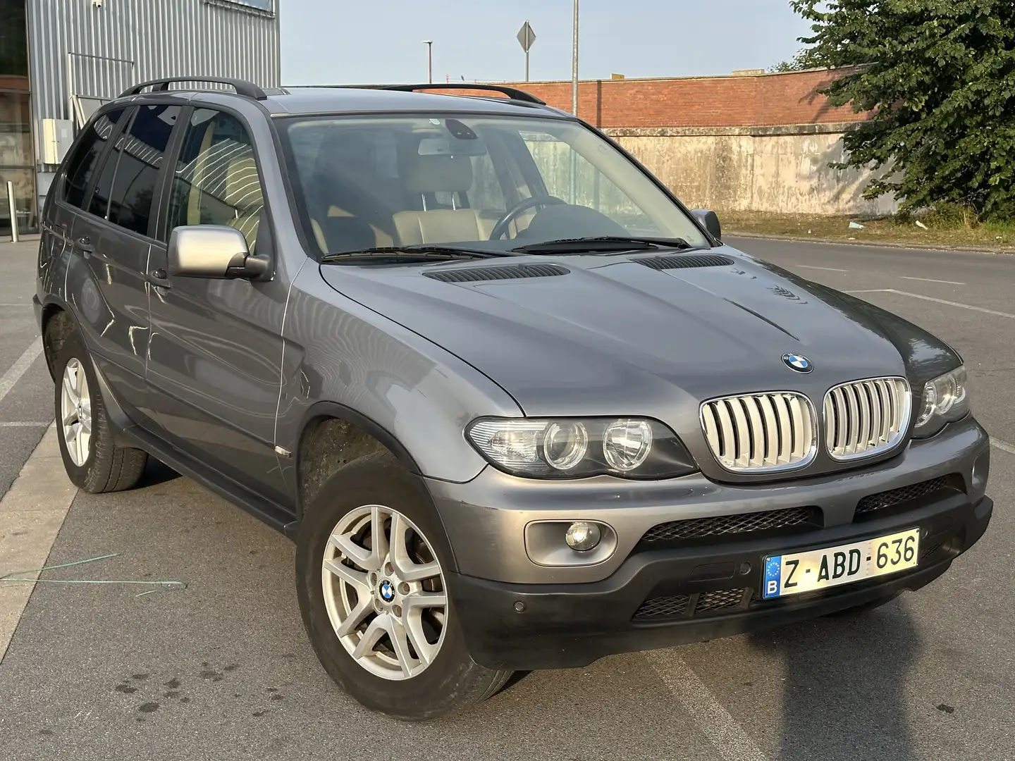 BMW X5 3.0 dA Option Line Серый - 1