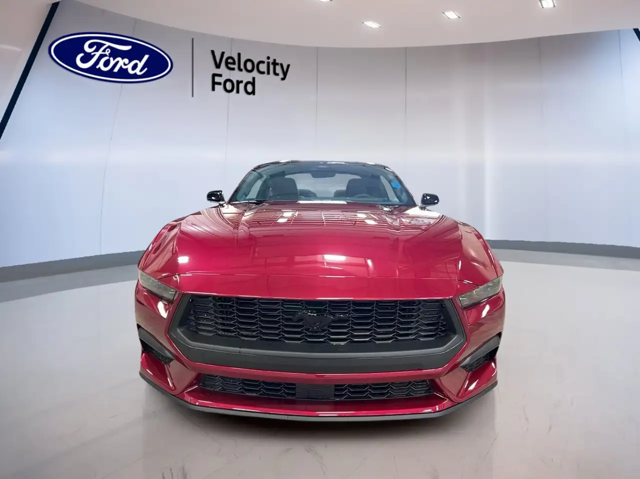Ford Mustang снимка Ford Mustang
