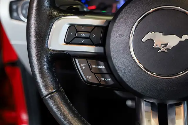 Ford Mustang view 16
