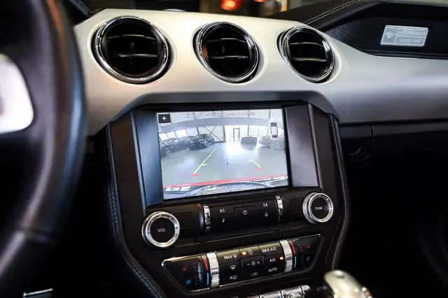 Ford Mustang view 19