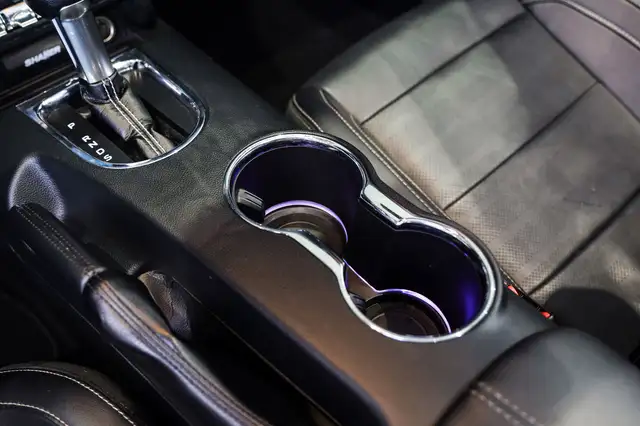 Ford Mustang view 23