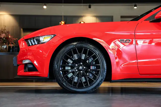 Ford Mustang view 12