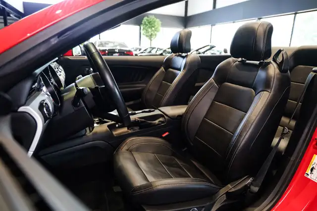 Ford Mustang view 8