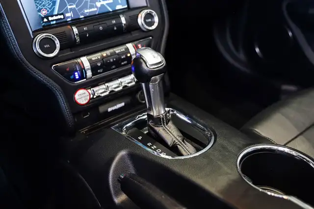 Ford Mustang view 22