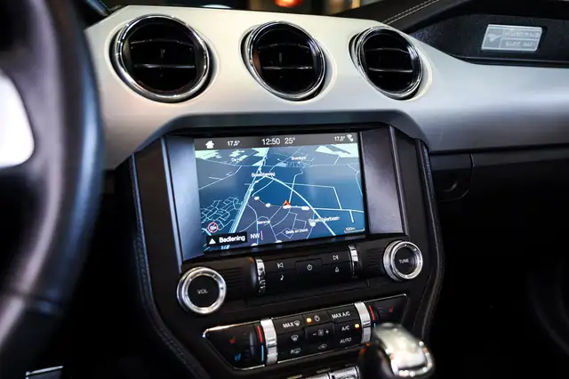 Ford Mustang view 18