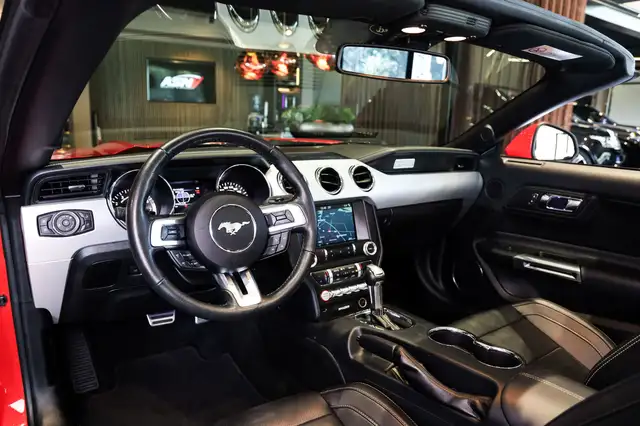 Ford Mustang view 14