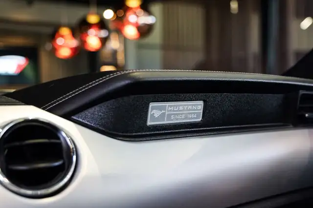 Ford Mustang view 24