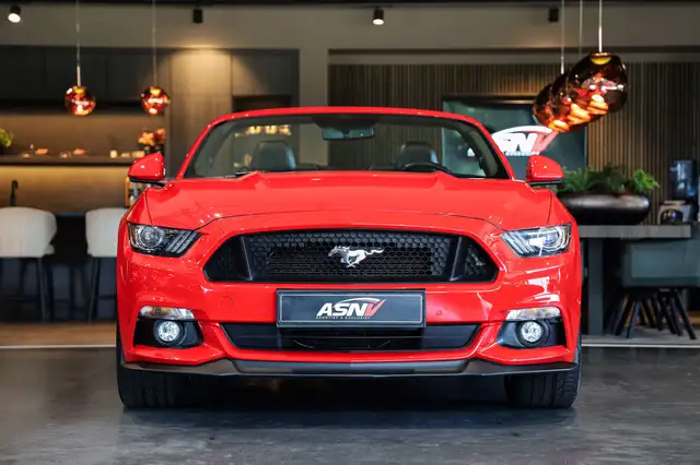 Ford Mustang view 28