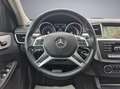 Mercedes-Benz ML 250 CDI BlueTec 7G-Tronic/Alcantara/Xenon/PDC Argintiu - thumbnail 16