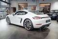 Porsche Cayman 718 Cayman 2.0*Sport Chrono Plus*20"*APPL Blanc - thumbnail 5