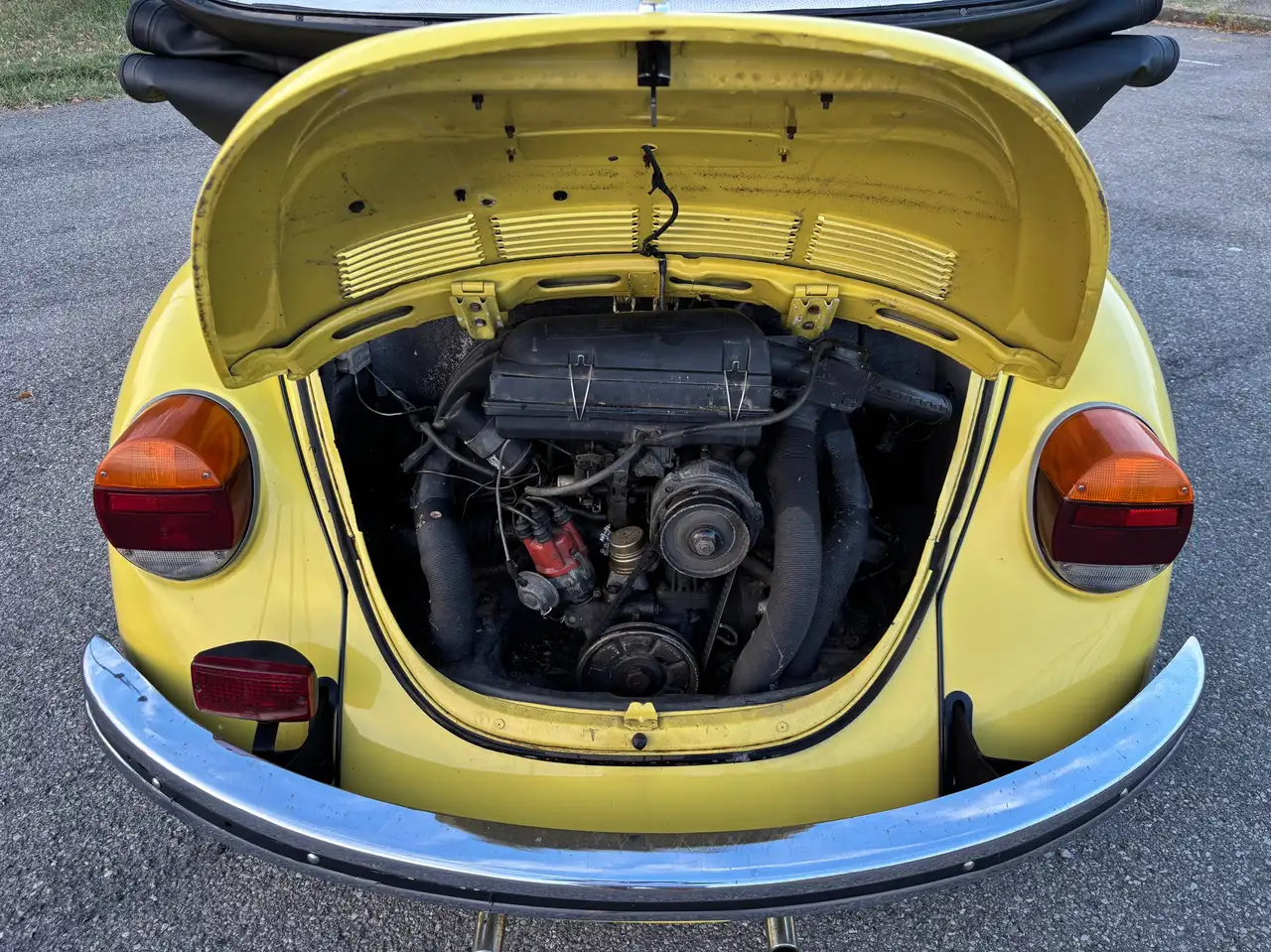 Volkswagen Maggiolino Cabriolet, foto 12