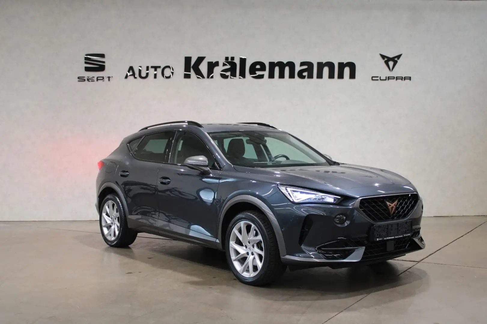 CUPRA Formentor 2.0 TDI 7-Gang-DSG 4Drive *LED*SHZ*Nav Grau - 1