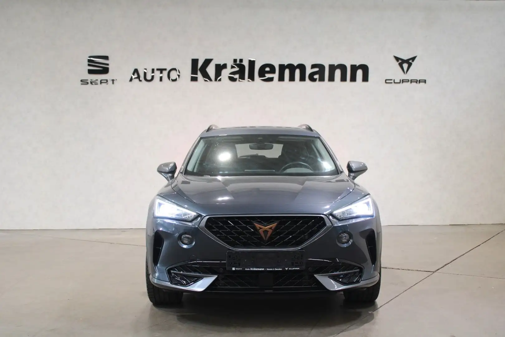 CUPRA Formentor 2.0 TDI 7-Gang-DSG 4Drive *LED*SHZ*Nav Grau - 2