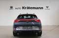 CUPRA Formentor 2.0 TDI 7-Gang-DSG 4Drive *LED*SHZ*Nav Grau - thumbnail 5