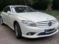 Mercedes-Benz CL 600 CK60 - Carlsson  600 PS/1000 Nm  320 km/h Weiß - thumbnail 5
