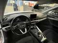 Audi A4 allroad A4 V 2016 Allroad Quattro 2.0 tdi 163cv s-tronic Bianco - thumbnail 9