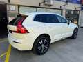 Volvo XC60 T6 Recharge Inscription Expression Bianco - thumbnail 12