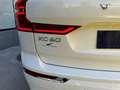 Volvo XC60 T6 Recharge Inscription Expression Bianco - thumbnail 14