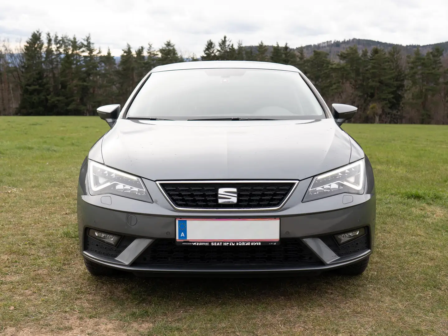 SEAT Leon Leon Style Fast Lane 1,2 TSI Style Fast Lane Grau - 1