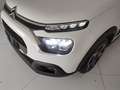 Citroen C3 1.2 puretech Shine s&s 83cv Bianco - thumbnail 6