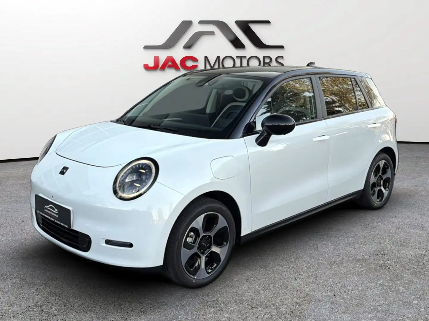 JAC Sonstige E30X Nordic Edition 50+LEDER+PANO+52kWh+LED Weiß - 1