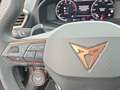 CUPRA Formentor VZ 4Drive 2.0 TSI Pano Navi 360 Sportr Grün - thumbnail 21