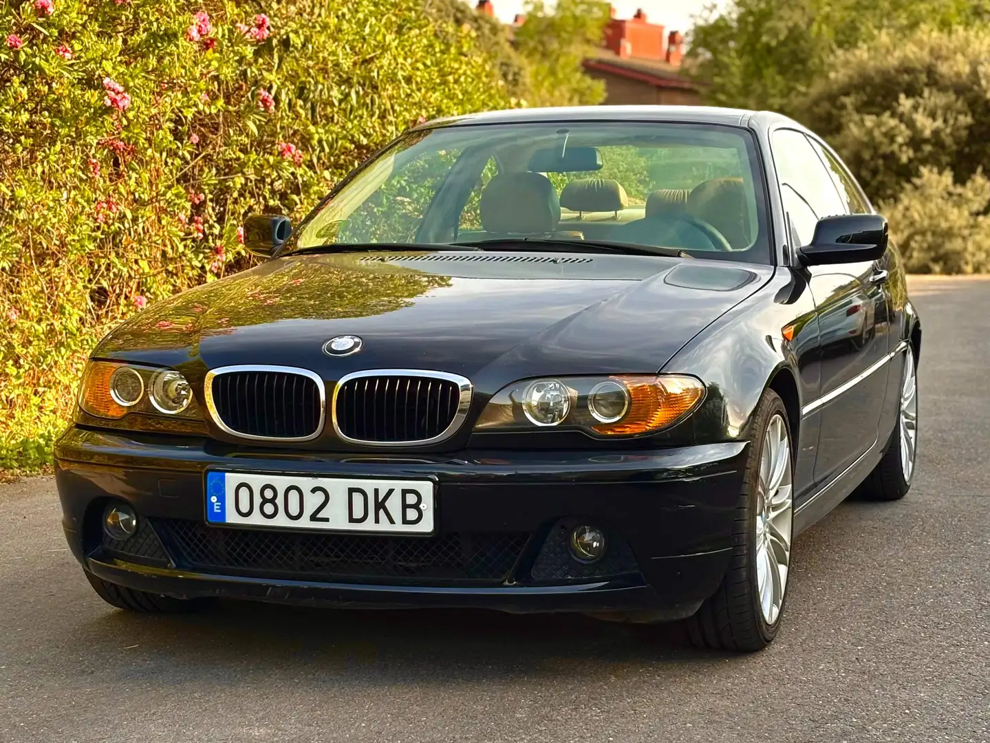 BMW 318 318 Ci Negro - 2