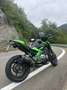 Kawasaki Z 900 performance Verde - thumbnail 5
