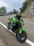 Kawasaki Z 900 performance Verde - thumbnail 4
