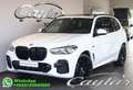 BMW X5 45e M SPORT SKY LOUNGE B&W 22" Wit - thumbnail 1