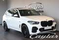 BMW X5 45e M SPORT SKY LOUNGE B&W 22" Wit - thumbnail 3