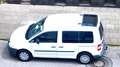 Volkswagen Caddy 2.0 EcoFuel Life (5-Si.) Weiß - thumbnail 8
