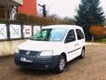 Volkswagen Caddy 2.0 EcoFuel Life (5-Si.) Weiß - thumbnail 4