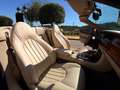 Jaguar XK XK8 Convertible 4.0 Aut. Negro - thumbnail 17