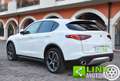 Alfa Romeo Stelvio 2.2 Turbodiesel 210 CV AT8 Q4 Bianco - thumbnail 3