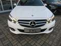 Mercedes-Benz E 220 E 220 CDI BlueEfficiency LED PDC TÜV+AU NEU Weiß - thumbnail 27