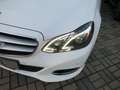 Mercedes-Benz E 220 E 220 CDI BlueEfficiency LED PDC TÜV+AU NEU Weiß - thumbnail 28