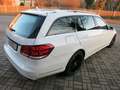 Mercedes-Benz E 220 E 220 CDI BlueEfficiency LED PDC TÜV+AU NEU Weiß - thumbnail 5