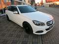Mercedes-Benz E 220 E 220 CDI BlueEfficiency LED PDC TÜV+AU NEU Weiß - thumbnail 3