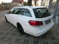 Mercedes-Benz E 220 E 220 CDI BlueEfficiency LED PDC TÜV+AU NEU Weiß - thumbnail 7