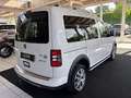 Volkswagen Caddy Kombi Cross 2,0 TDI DPF 4MOTION Weiß - thumbnail 3
