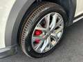 Volkswagen Caddy Kombi Cross 2,0 TDI DPF 4MOTION Weiß - thumbnail 6