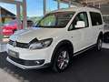 Volkswagen Caddy Kombi Cross 2,0 TDI DPF 4MOTION Weiß - thumbnail 1