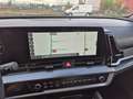 Kia Sportage 1.6 crdi mhev GT-line Sunroof Pack awd dct Bianco - thumbnail 12