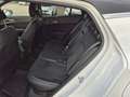Kia Sportage 1.6 crdi mhev GT-line Sunroof Pack awd dct Bianco - thumbnail 8