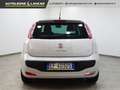 Fiat Punto Evo 3p 1.3 mjt Sport 95cv Bianco - thumbnail 4