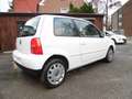 Volkswagen Lupo Lupo 1.4 Blanco - thumbnail 4